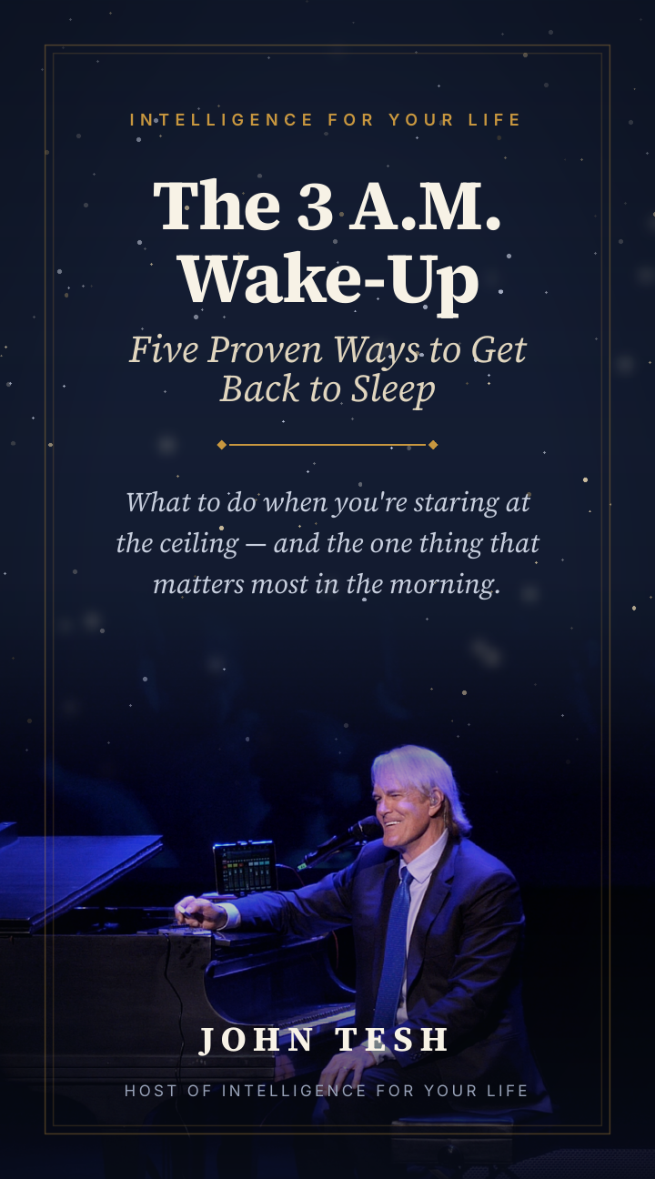 The 3 A.M. Wake-Up guide cover